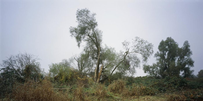 An eine Landschaft Schlindwein Fotografie Gengenbach