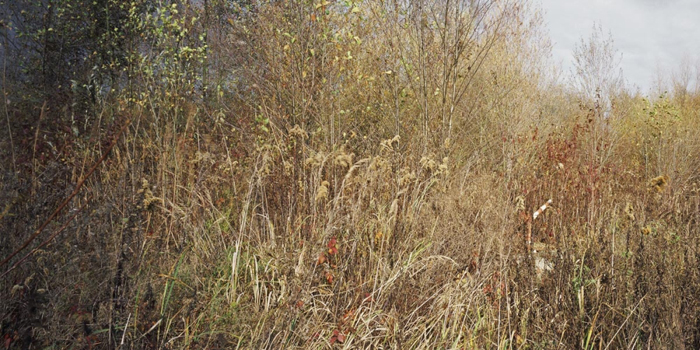 An eine Landschaft Schlindwein Fotografie Gengenbach