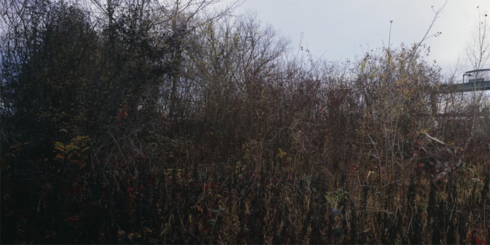 An eine Landschaft Schlindwein Fotografie Gengenbach