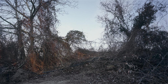 An eine Landschaft Schlindwein Fotografie Gengenbach