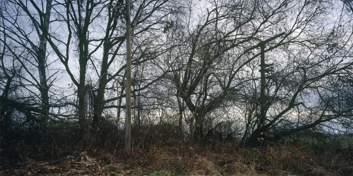 An eine Landschaft Schlindwein Fotografie Gengenbach