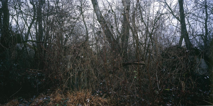 An eine Landschaft Schlindwein Fotografie Gengenbach