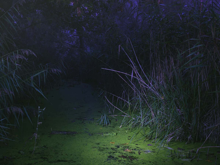 Night Land Schlindwein Fotografie Gengenbach