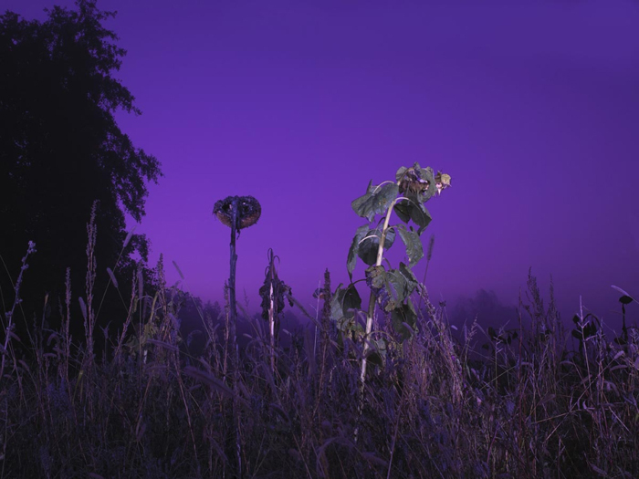 Night Land Schlindwein Fotografie Gengenbach