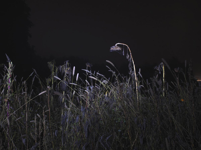 Night Land Schlindwein Fotografie Gengenbach
