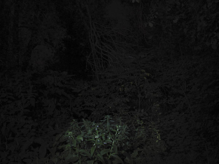 Night Land Schlindwein Fotografie Gengenbach