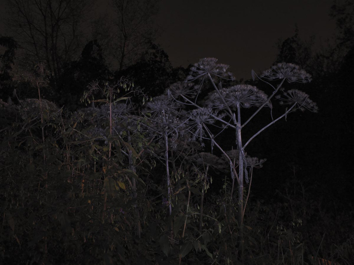 Night Land Schlindwein Fotografie Gengenbach