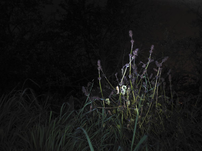 Night Land Schlindwein Fotografie Gengenbach