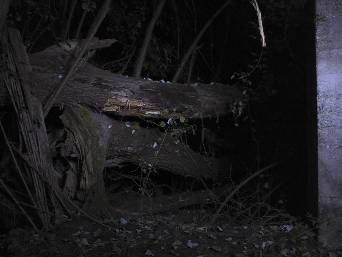 Night Land Schlindwein Fotografie Gengenbach