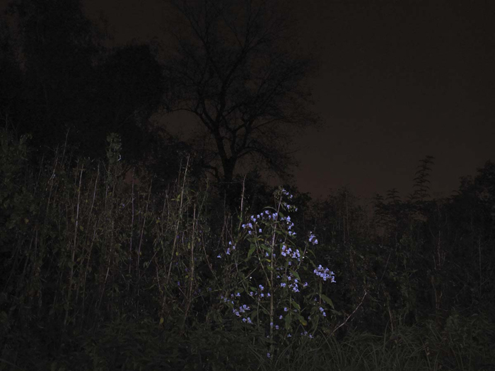 Night Land Schlindwein Fotografie Gengenbach