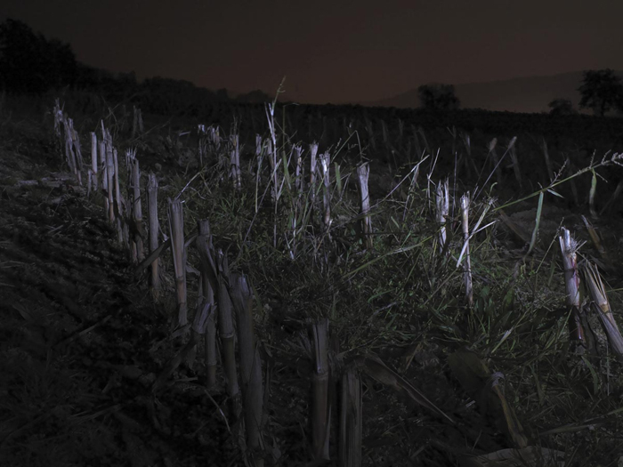 Night Land Schlindwein Fotografie Gengenbach
