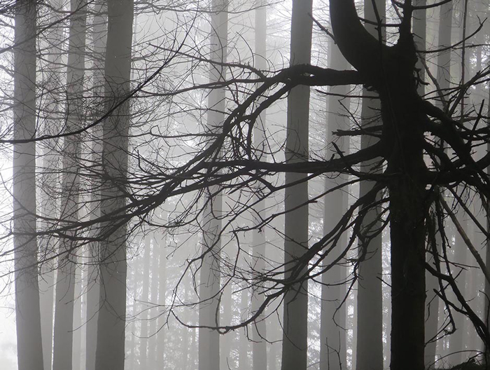 unterwegs Schlindwein Fotografie Gengenbach