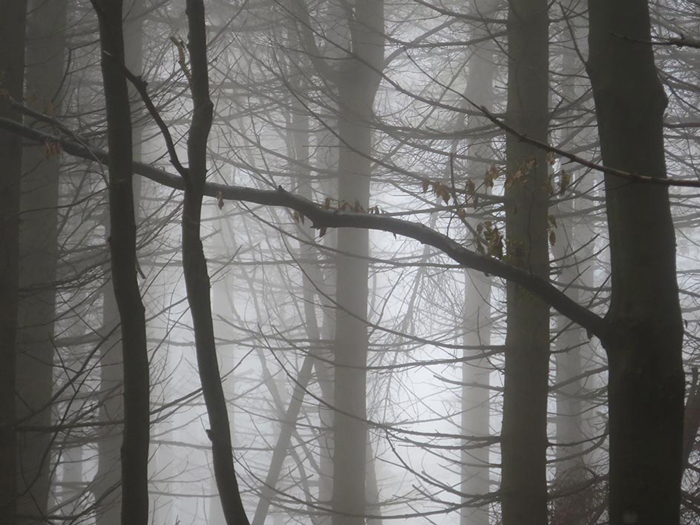 unterwegs Schlindwein Fotografie Gengenbach
