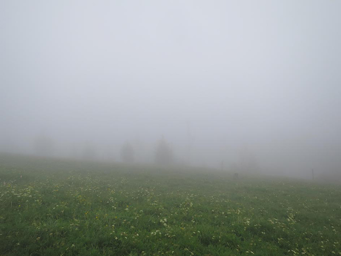 unterwegs Schlindwein Fotografie Gengenbach