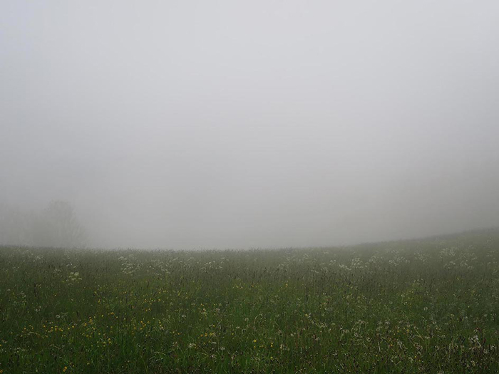 unterwegs Schlindwein Fotografie Gengenbach