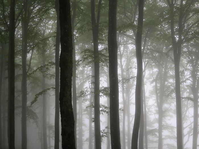 unterwegs Schlindwein Fotografie Gengenbach