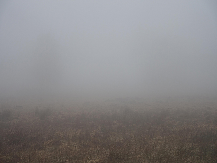 unterwegs Schlindwein Fotografie Gengenbach