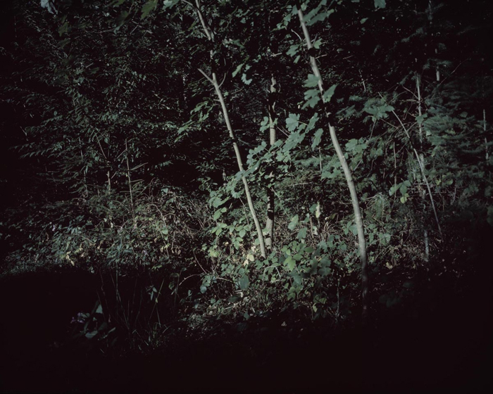 Verborgen Schlindwein Fotografie Gengenbach