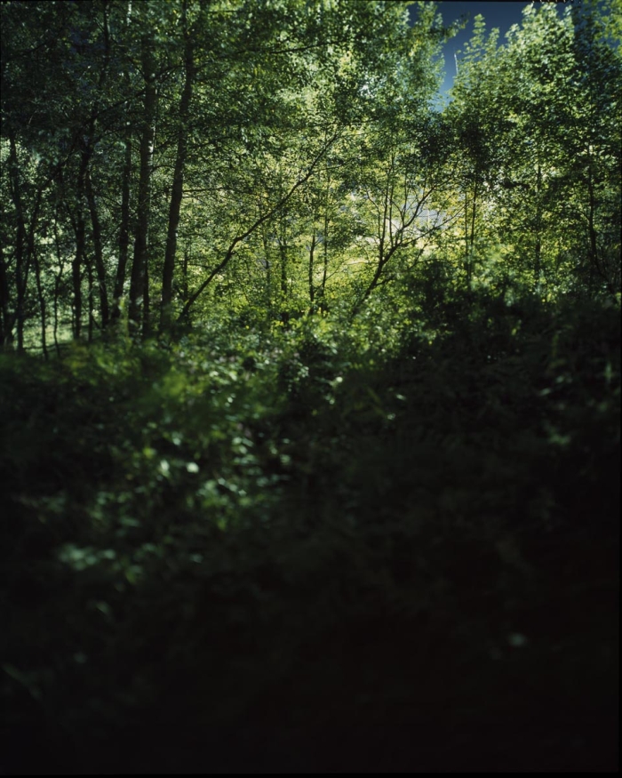Verborgen Schlindwein Fotografie Gengenbach