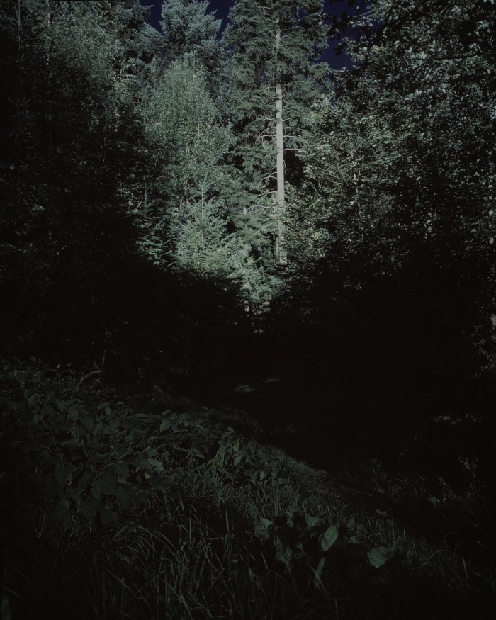 Verborgen Schlindwein Fotografie Gengenbach