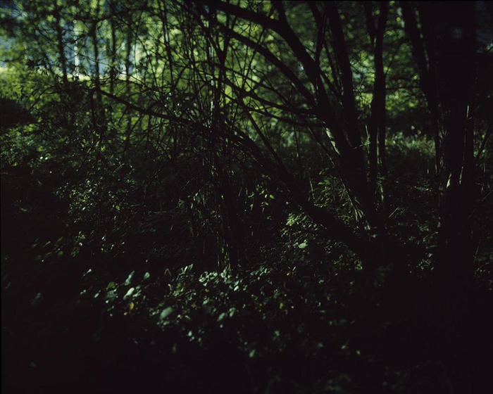 Verborgen Schlindwein Fotografie Gengenbach