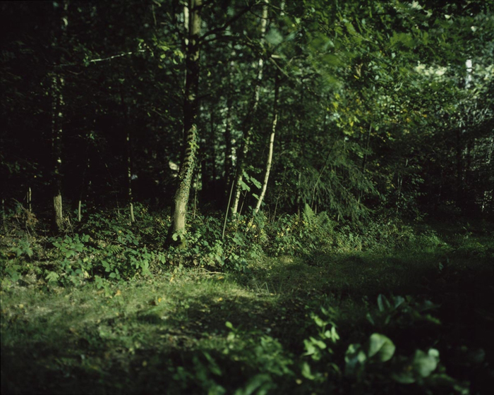 Verborgen Schlindwein Fotografie Gengenbach
