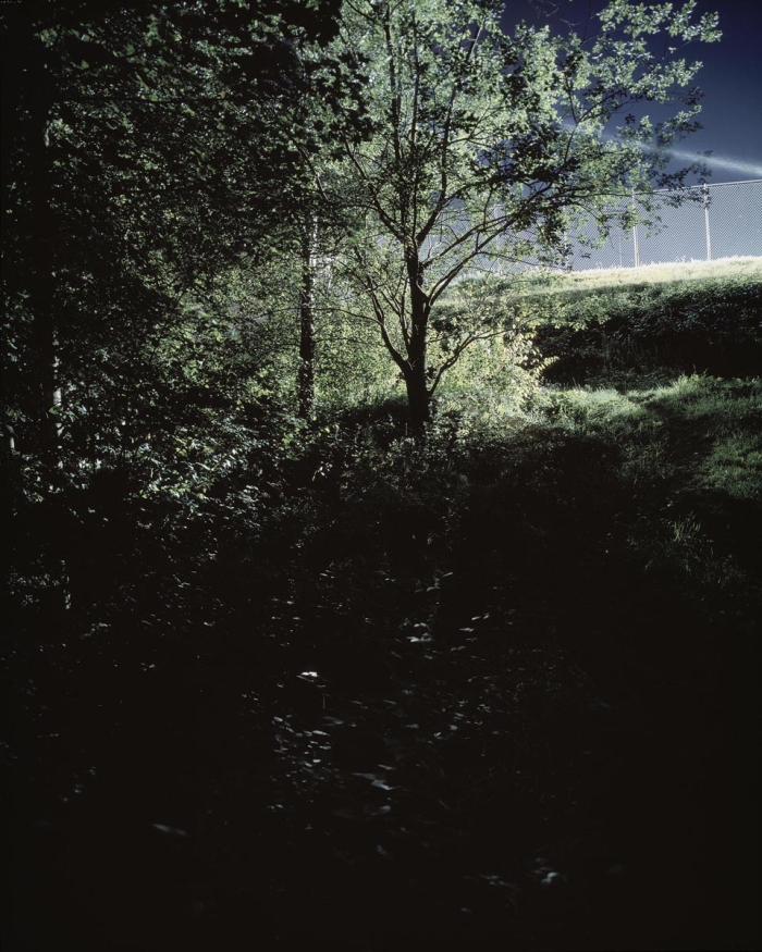 Verborgen Schlindwein Fotografie Gengenbach