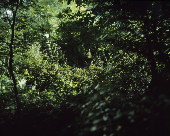 Verborgen Schlindwein Fotografie Gengenbach